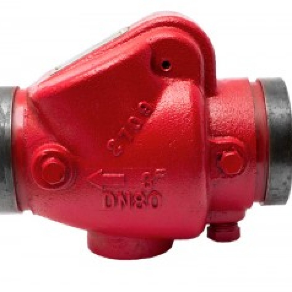 Grooved Check Valves