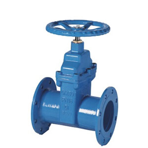 DIN3202 F5 PN16 RESILIENT SEAT GATE VALVE