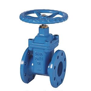 BS5163 PN25 TYPE-A RESILIENT SEAT GATE VALVE