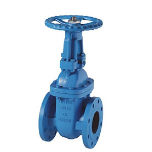  BS5150 PN16 OS&Y CAST IRON GATE VALVE