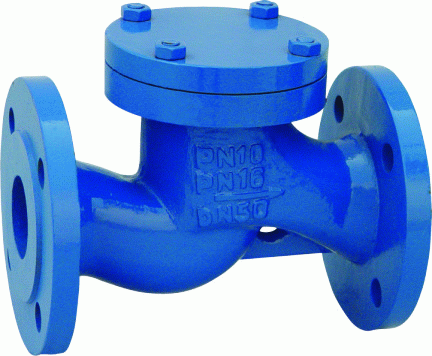 Check Valve Lift type DIN3202-F1