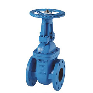 BS5150 PN10 OS&Y CAST IRON GATE VALVE