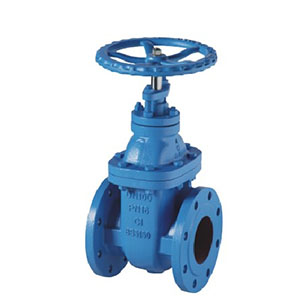 BS5150 PN16 NRS CAST IRON GATE VALVE