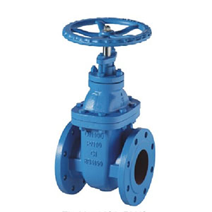 BS5150 PN10 NRS CAST IRON GATE VALVE