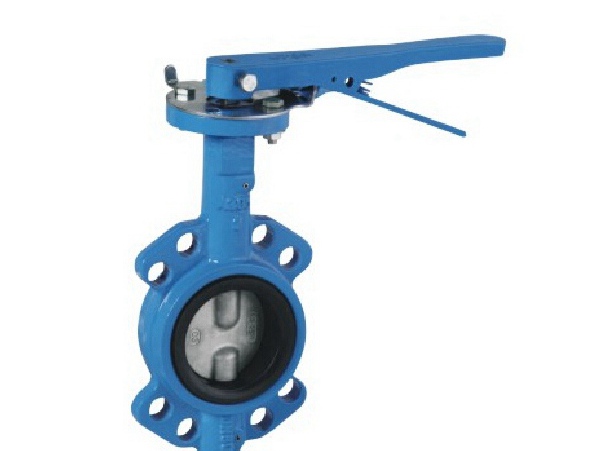 Double Shaft Butterfly Valve